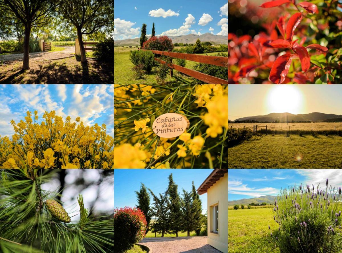 Cabanas De Las Pinturas Villa เซียร์รา เด ลา เวนตานา ภายนอก รูปภาพ