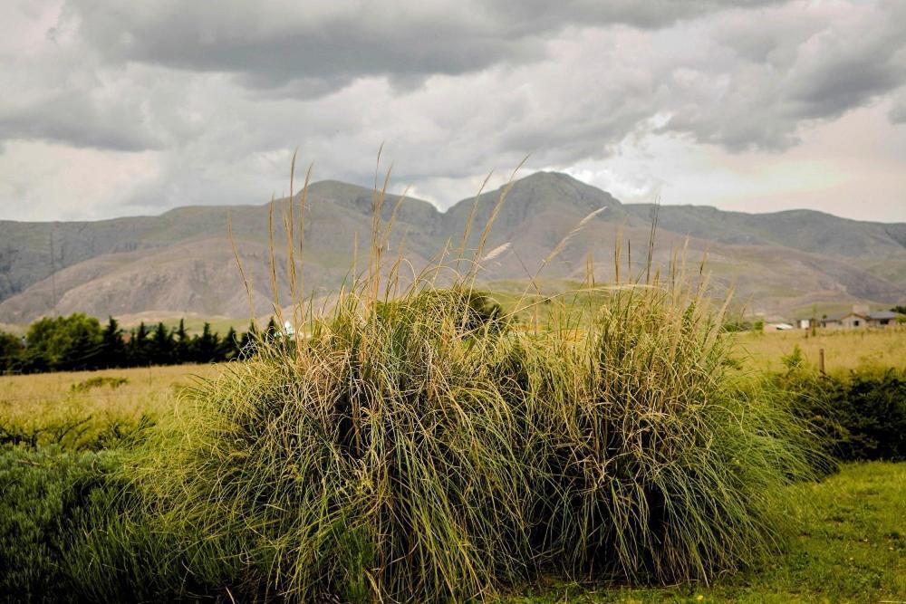 Cabanas De Las Pinturas Villa เซียร์รา เด ลา เวนตานา ภายนอก รูปภาพ